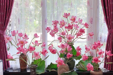 Yêu thích hương hoa mùa hạ, cô giáo Hà Nội mang cả "đầm sen" vào nhà