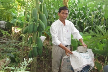 Giáo viên kiếm lãi bù lương nhờ nghề nuôi ong mật