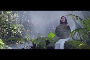 "Tôi thấy hoa vàng trên cỏ xanh"- Ái Phương