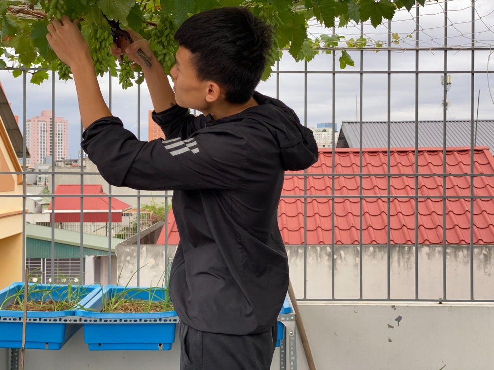 Mô hình độc đáo trồng rau và nuôi cá giữa phố của chàng trai Hà Nội - 13 Mô hình độc đáo trồng rau và nuôi cá giữa phố của chàng trai Hà Nội - 13