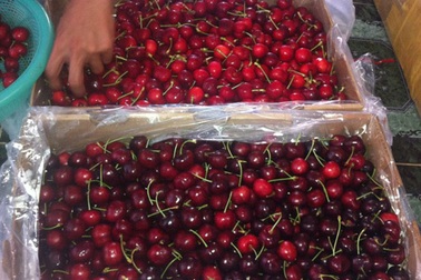 Nhập khẩu rau quả từ Úc tăng đột biến