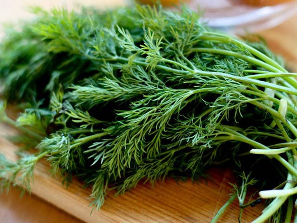 Loại rau giúp giảm lượng đường trong máu và chống ung thư - 1 Loại rau giúp giảm lượng đường trong máu và chống ung thư - 1