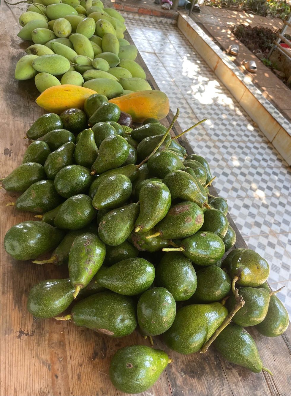 Vợ chồng bán nhà Hà Nội 10 tỷ đồng về Vũng Tàu làm nhà vườn trốn khói bụi - 4