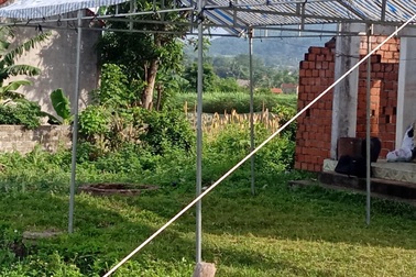 Phát hiện người đàn ông chết dưới giếng sau 4 ngày mất tích