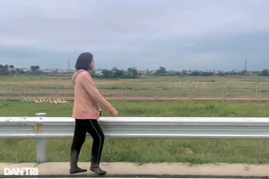 Hàng trăm con vịt bất ngờ tràn lên cao tốc Bắc - Nam - 2 Hàng trăm con vịt bất ngờ tràn lên cao tốc Bắc - Nam - 2