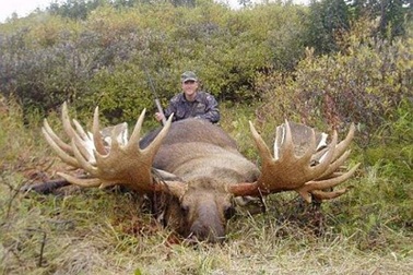 Những thực vật và động vật khổng lồ