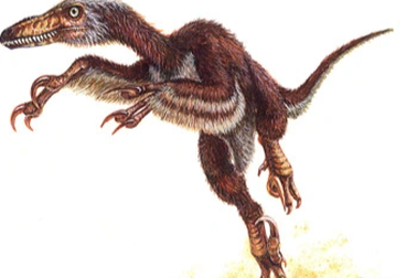 Phát hiện loài khủng long lai chim chưa từng biết ở Trung Quốc
