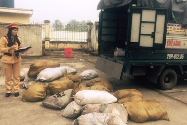 Hơn 2 tấn bì lợn hôi thối chuẩn bị tung ra thị trường