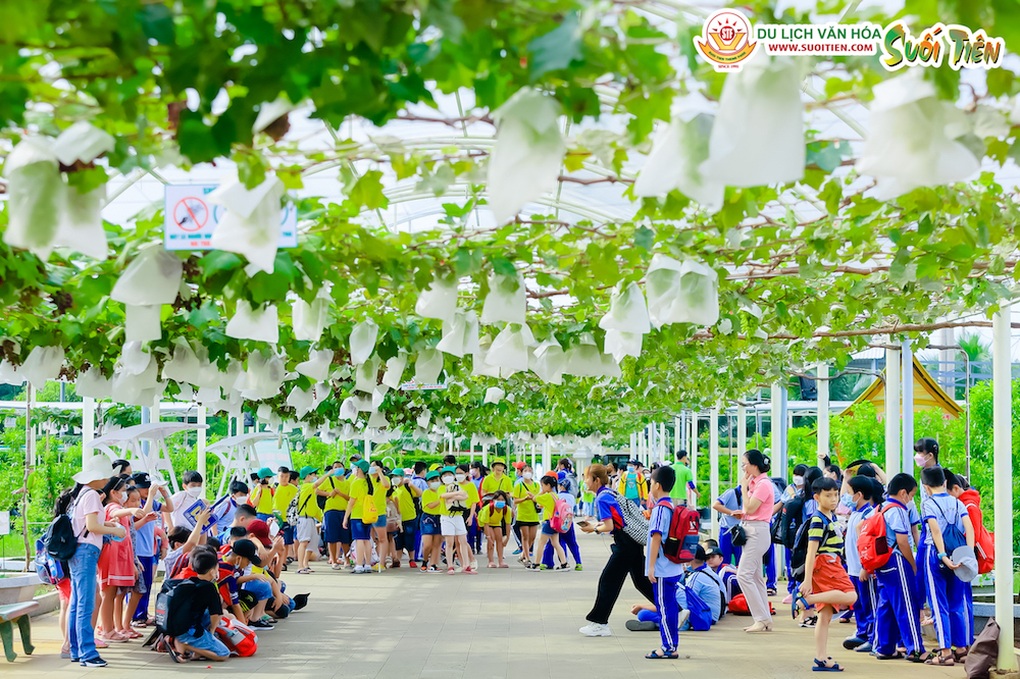 Nhiều hoạt động đón xuân ở Suối Tiên - 3 Nhiều hoạt động đón xuân ở Suối Tiên - 3