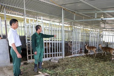 Gia Lai hướng đến mục tiêu xóa nghèo bền vững