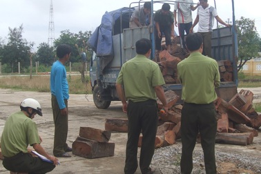 Phát hiện gỗ quý, lái xe bỏ của chạy lấy người