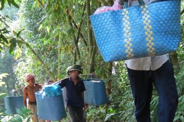 Vụ sạt lở đá trên núi Cấm: Vẫn chưa thể thông xe