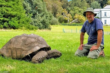 Những sinh vật sống lâu đời nhất hành tinh