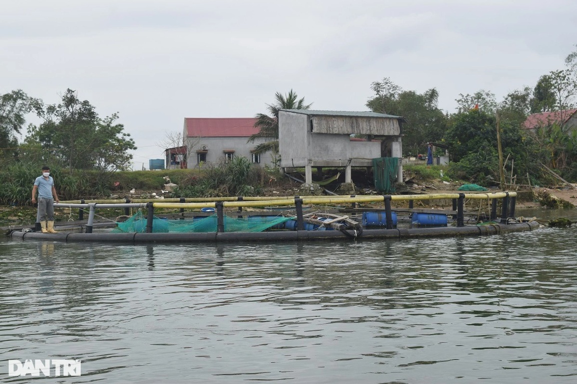 Rời Nhật Bản về quê, chàng trai tạo sự khác biệt trong nghề nuôi cá lồng - 2 Rời Nhật Bản về quê, chàng trai tạo sự khác biệt trong nghề nuôi cá lồng - 2