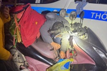 Cô giáo chạy xe máy 250km hết xăng trong đêm và hành động đẹp của CSGT