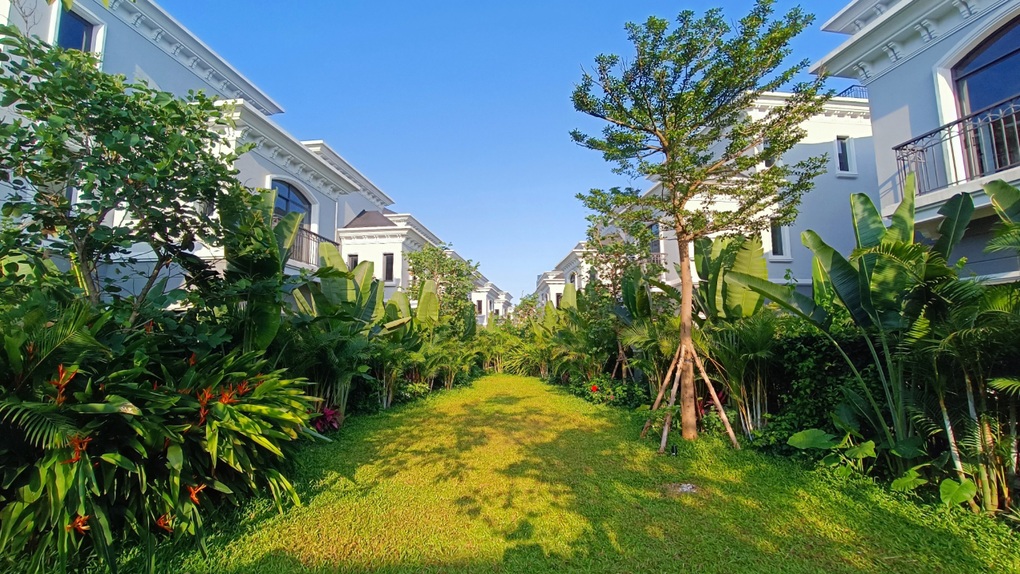 Từ tầm nhìn phát triển bền vững của BIM Group tới chiến lược xanh hóa Halong Marina - 3 Từ tầm nhìn phát triển bền vững của BIM Group tới chiến lược xanh hóa Halong Marina - 3