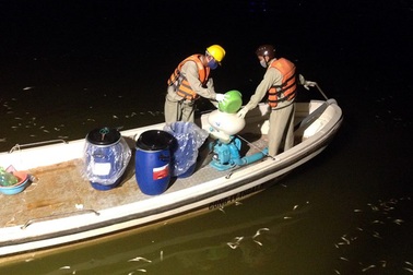 Hà Nội: Gần 200 hồ ô nhiễm cần xử lý bằng chế phẩm đặc biệt