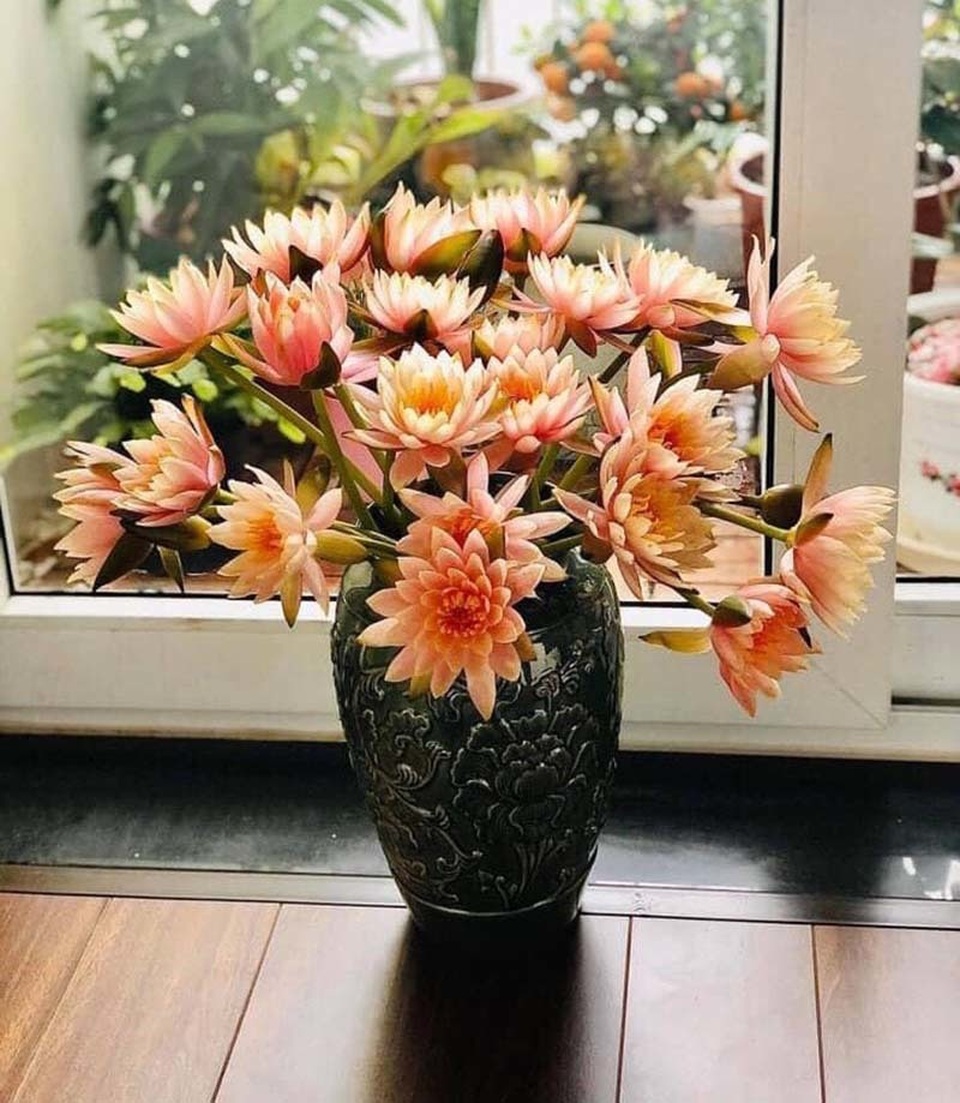 Chị em đua mốt chơi mới, hoa dại mọc hoang nay trở nên đắt đỏ - 1