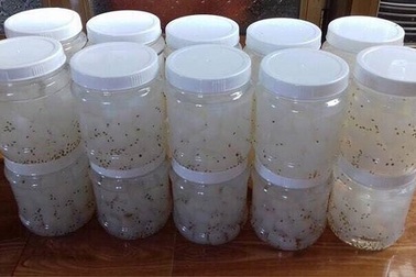 Làm thạch dừa cho con ăn, mẹ bất ngờ kiếm được gần 1.000 USD