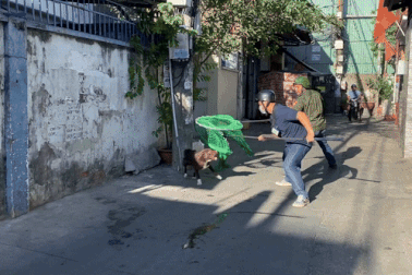 Cán bộ phường ở TPHCM bị chó chạy rông cắn chảy máu chân khi vây bắt