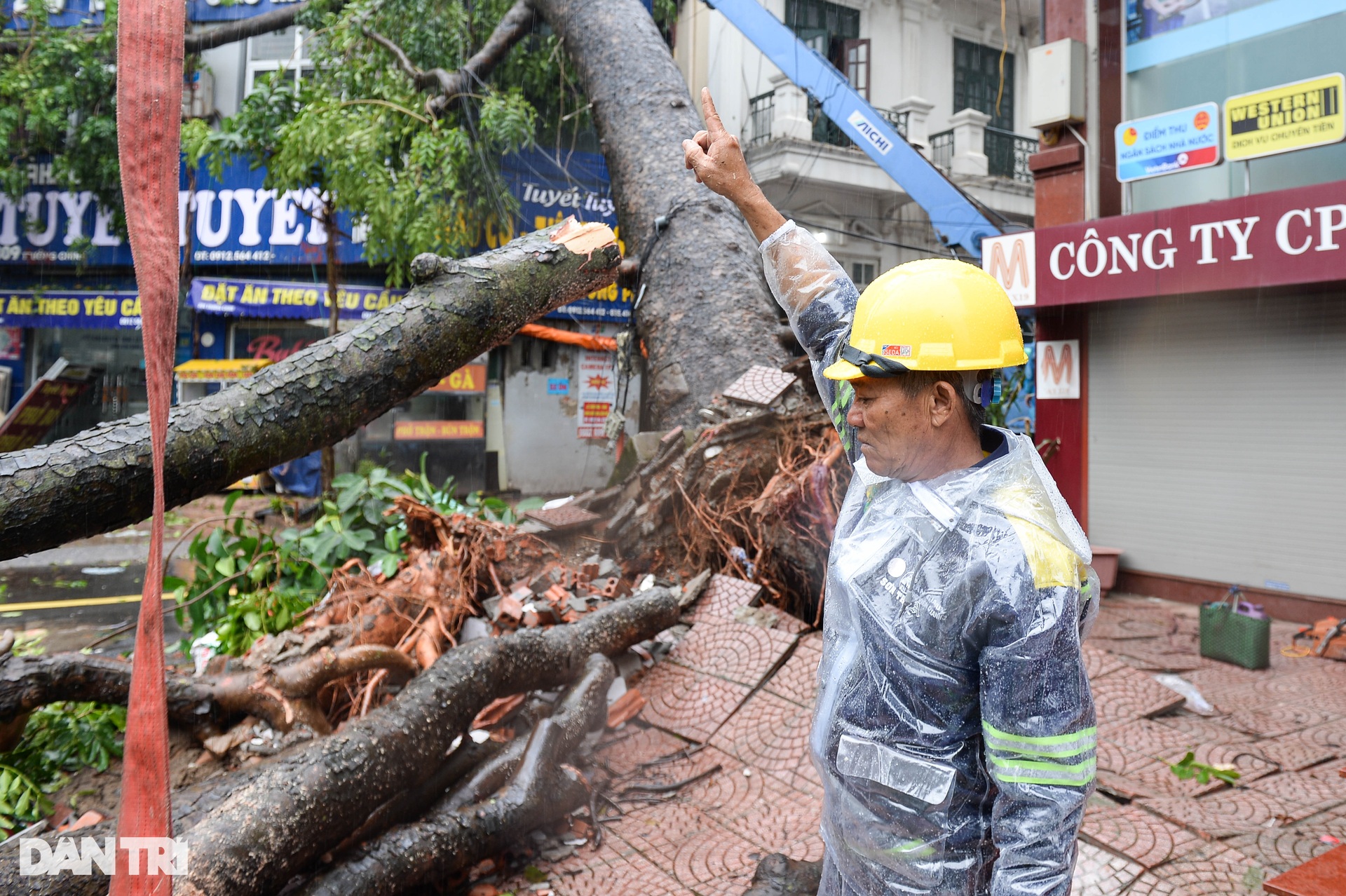 Lực lượng tinh nhuệ TPHCM đội mưa tầm tã dọn dẹp cây xanh tại Hà Nội - 3