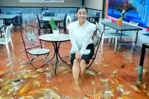 Độc đáo quán cà phê cho cá Koi bơi dưới chân khách