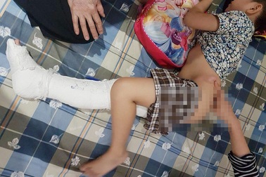 Chủ tịch Hà Nội yêu cầu tạm đình chỉ hiệu trưởng trường tiểu học Nam Trung Yên