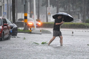 Doanh nghiệp ven biển Trung Quốc lao đao vì bão Matmo đổ bộ