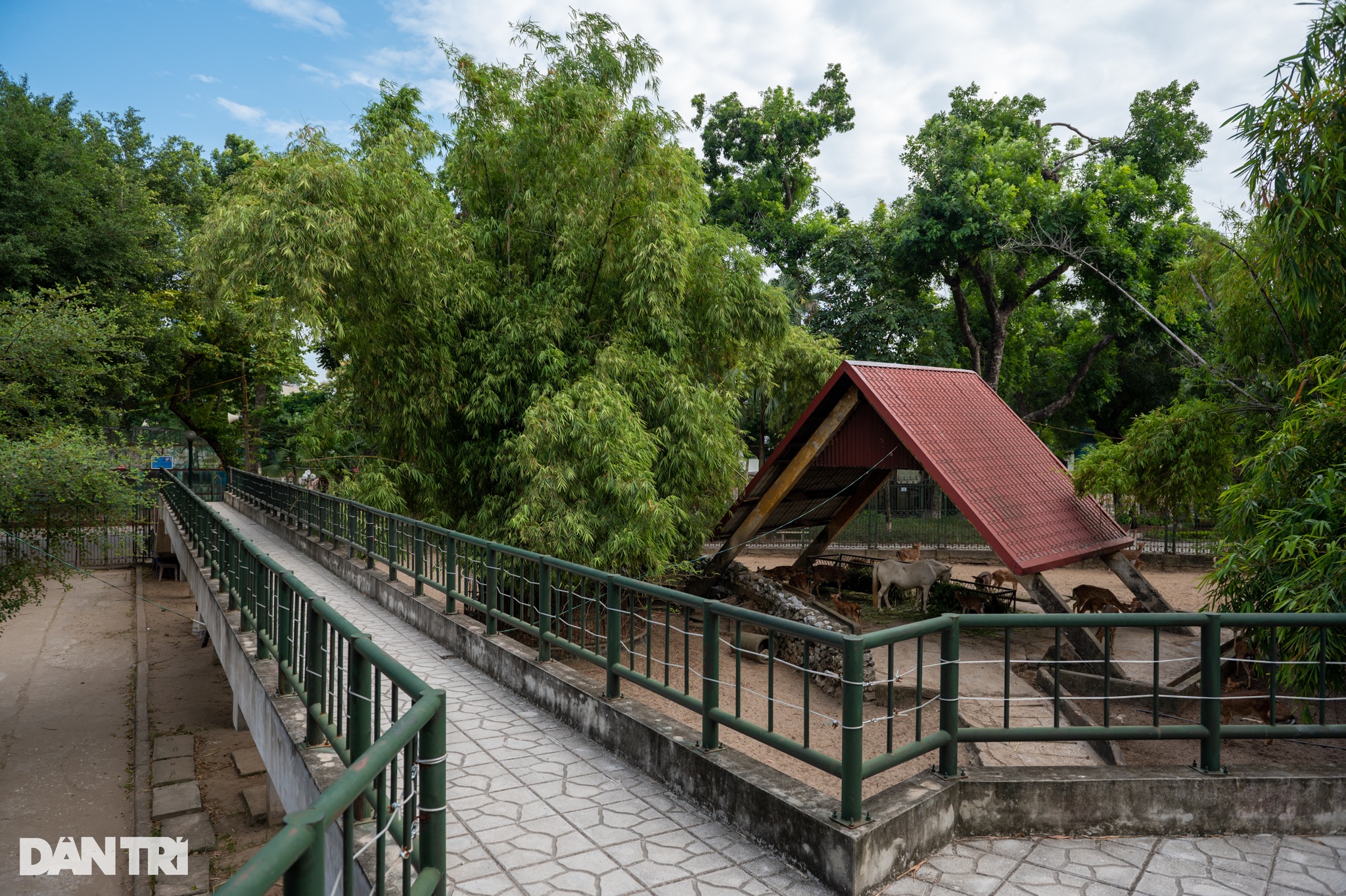 Hiện trạng ba công viên ở Hà Nội được đầu tư gần 900 tỷ đồng cải tạo - 4