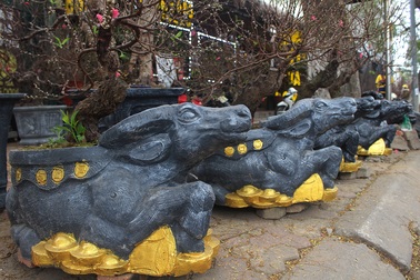 Tết chơi sang, xuống tay 2 triệu đồng mua trâu đen "cõng" hoa đào