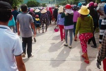 Vụ tôm hùm chết hàng loạt: Sở kết luận do mật độ nuôi quá dày