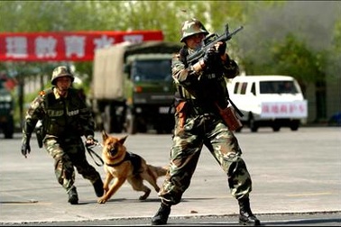 Phá âm mưu khủng bố ở Tân Cương 