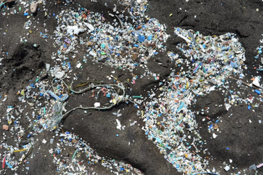 15 triệu tấn vi nhựa đang gây ô nhiễm trầm trọng đáy biển toàn cầu