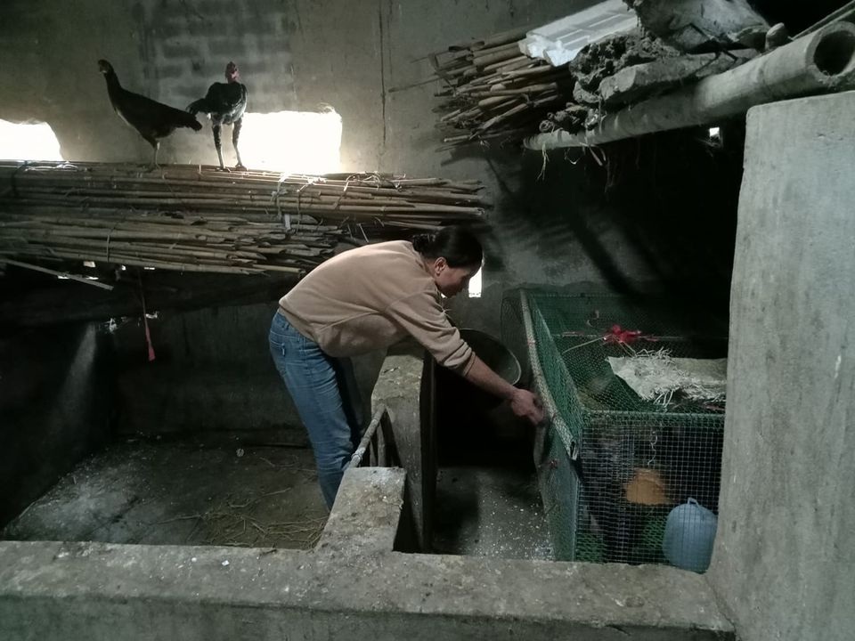 Thương cậu bé vừa nhập học đã phải xa trường chống chọi với bệnh ung thư - 5 Thương cậu bé vừa nhập học đã phải xa trường chống chọi với bệnh ung thư - 5