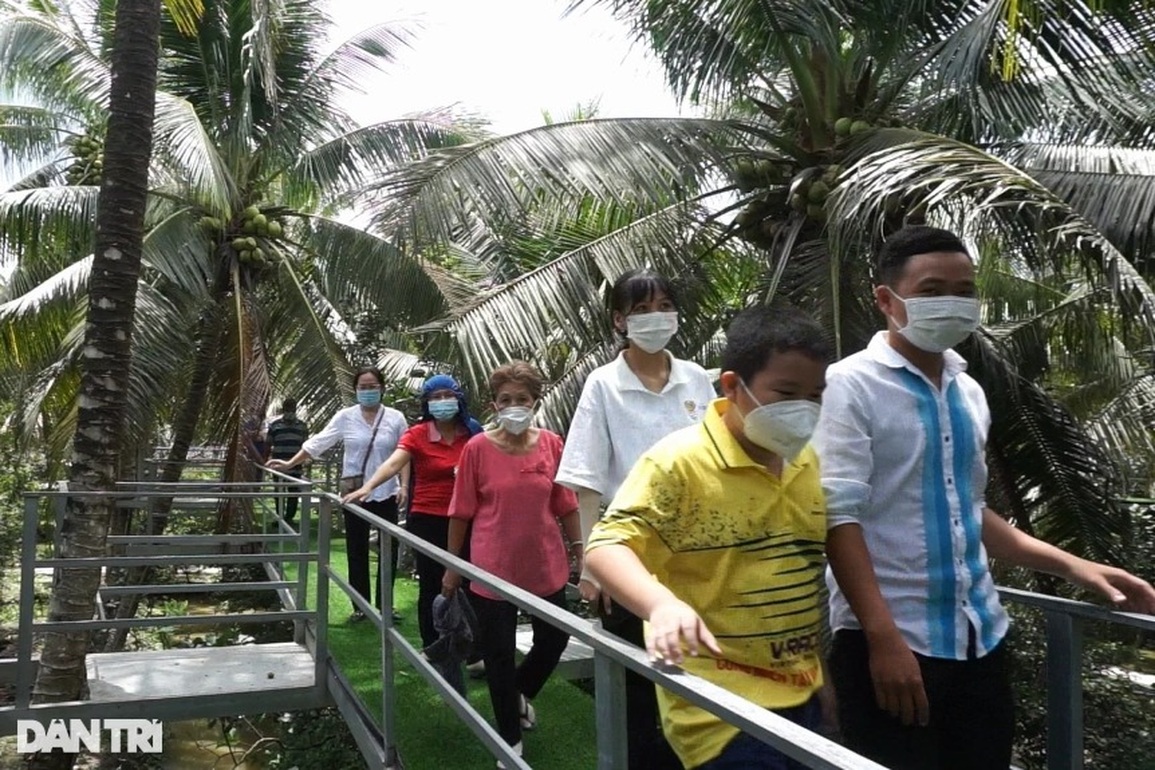 Lão nông đầu tư cả tỷ đồng bắc thang tận ngọn dừa cho khách hái quả - 1 Lão nông đầu tư cả tỷ đồng bắc thang tận ngọn dừa cho khách hái quả - 1