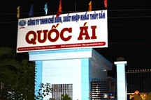 Phạt công ty thủy sản bơm tạp chất vào tôm hơn 550 triệu đồng