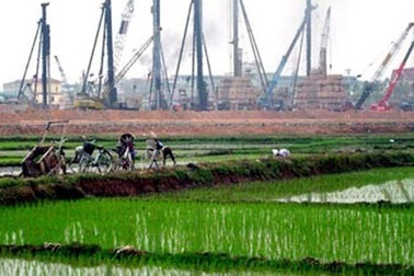 Thái Nguyên được chuyển đổi 15,7 ha trồng lúa làm dự án