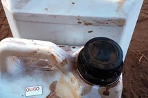 Dân tố hàng ngàn cây sầu riêng giống bị chết khô sau khi bón phân