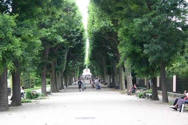 Phát triển 1 triệu cây xanh cho Việt Nam