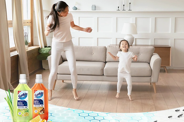 Hội chị em đau đầu tìm cách ngăn côn trùng, giữ nhà cửa sạch sẽ