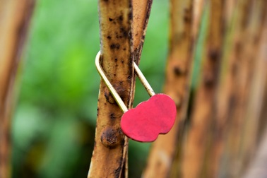 "Khóa tình yêu" trên cây cầu lịch sử ở Hà Nội