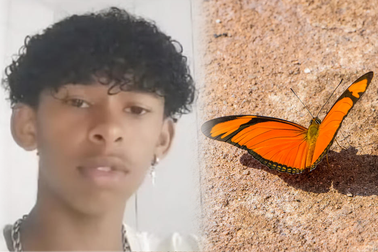 Thiếu niên tử vong do tự tiêm xác bướm vào người, nghi do thử thách mạng