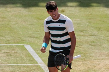 Alcaraz tiến vào bán kết Queen's Club, Zverev gặp Medvedev ở Halle Open