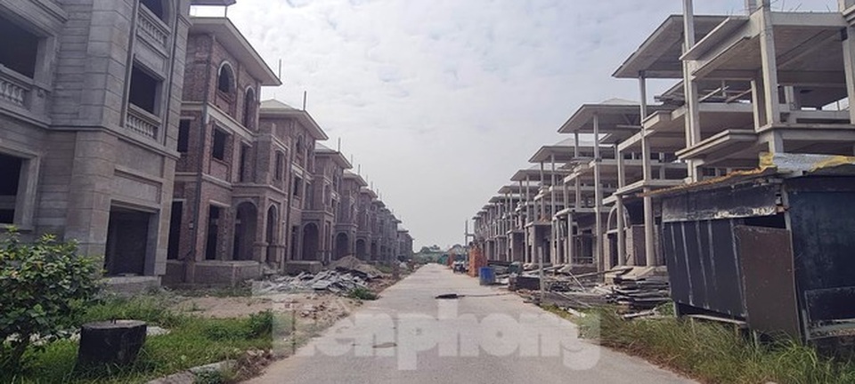 Biệt thự nuôi gà, trồng rau ngoại thành Hà Nội bất ngờ được thổi giá dựng ngược - 3 Biệt thự nuôi gà, trồng rau ngoại thành Hà Nội bất ngờ được thổi giá dựng ngược - 3