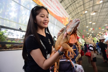 Đi lễ hội trái cây, chơi đùa với... rồng