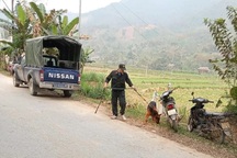 Huy động hơn 100 người cùng chó nghiệp vụ vây bắt nghi phạm giết người