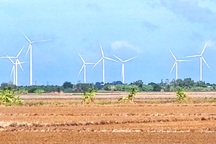 Sóc Trăng thanh tra các dự án điện gió