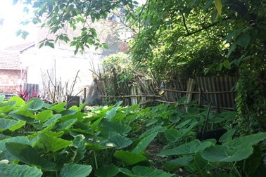 Bài 6: Ban Dân nguyện Quốc hội yêu cầu giải quyết dứt điểm khiếu nại ở Từ Liêm