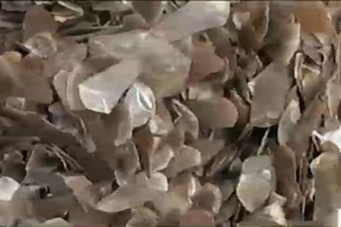 Bắt giữ hơn 1 tấn vẩy tê tê ngụy trang cá trích khô nhập khẩu từ Châu Phi