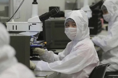 Thời buổi "khó sống" của giới nghiên cứu Trung Quốc tại Mỹ